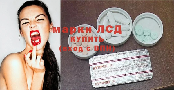 стафф Алзамай
