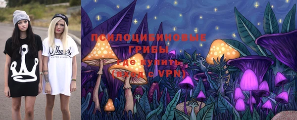 стафф Алзамай