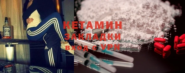 СК Пересвет
